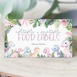 Girl Dinosaur Editable Food Label Cards, Printable Dinosaur Food Label Place Cards, Girl Dinosaur Birthday Party Printables, Pink Dino BD214