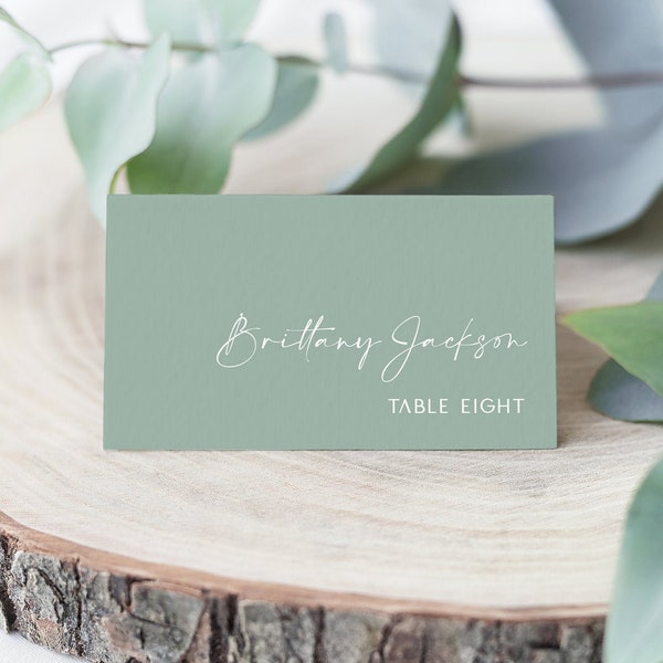 Minimalistic Green Editable Wedding Place Cards template, Modern Eucalyptus Wedding Name Cards, Instant Download, Printable, Minimal, BD133