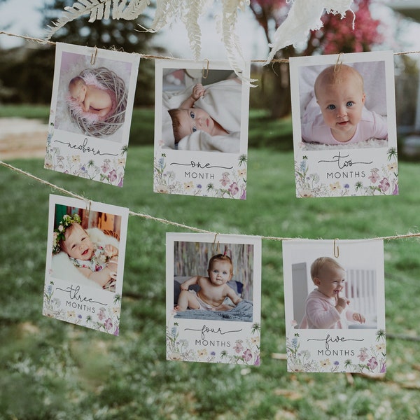 Wildflower First Year Birthday Photo Banner, Wildflower Girls 1st Year Birthday Photos, Floral 1st Year, Printable Monthly Milestone, BD172