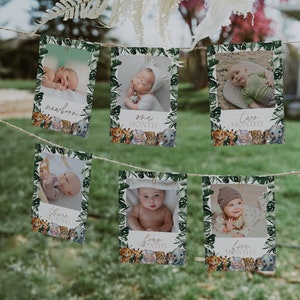 Banner fotográfico de primer año de safari, fotos de primer año de Wild One, primer año del bebé, tarjetas imprimibles mensuales de hitos de la jungla, BD183