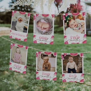 Watermelon First Year Birthday Photo Banner, One In A Melon Girl 1st Year Birthday Photos, Watermelon Printable Monthly Milestone, BD177