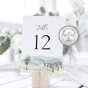 Números de mesa para casamento em vinhedo, modelo editável, decoração de mesa para casamento em vinícola, download instantâneo, casamento no campo, cartão de mesa para impressão BD100