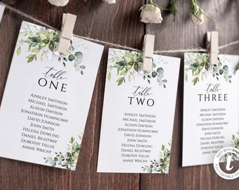 Wedding Seating Chart Template, Rustic, Greenery, Editable Seating Cards, Seating Plan, Instant Download, Eucalyptus, Watercolor BD44