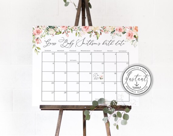 Blush Pink Guess Baby Due Date Calender Game Sign, Editable Template, Greenery Guess Baby's birthday, Instant Download, Shower Due Date BD54
