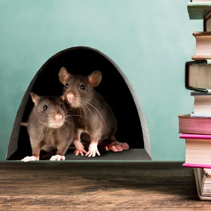 Realistische Maus im Loch Wandtattoo Maus Aufkleber Sockelleisten Aufkleber Maus Tür Aufkleber