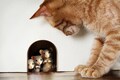 Three friends Realistic mouse in hole wall decal Buddies Mice sticker Baseboard sticker Mouse door decal product logo