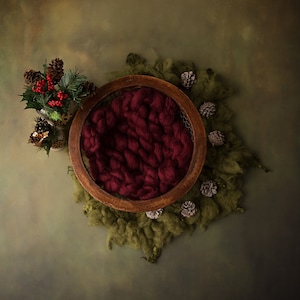 Christmas newborn digital backdrop