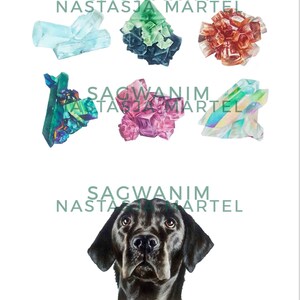Crystals & Dog Print ⊹ 9 x 12 Inch