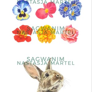 Edible Flowers & Bunny Print ⊹ 9 x 12 Inch