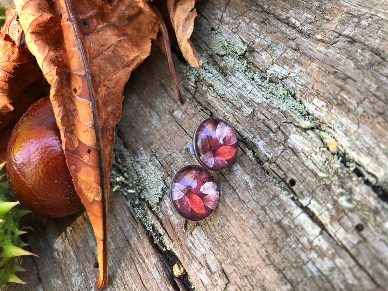 Stainless steel earrings autumn dance, autumn earrings, hypoallergenic, surgical steel earrings, leaf clover, autumn leaves, stainless steel earrings image 5