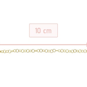 May include: A gold chain extender measuring 10 cm in length. The chain is made of small, linked circles.