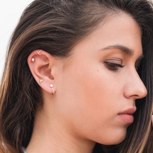 May include: A woman with long brown hair wearing multiple small gold earrings in her left ear. The earrings include a hoop, a stud, and a small bar.