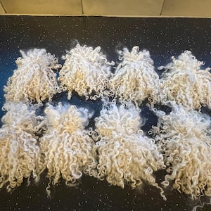 May include: Eight individual clusters of off-white, curly animal fleece arranged in two rows. Each bundle features long, spiraled locks of raw wool with a soft, textured appearance, showcasing natural variations in the cream-coloured fibre strands.