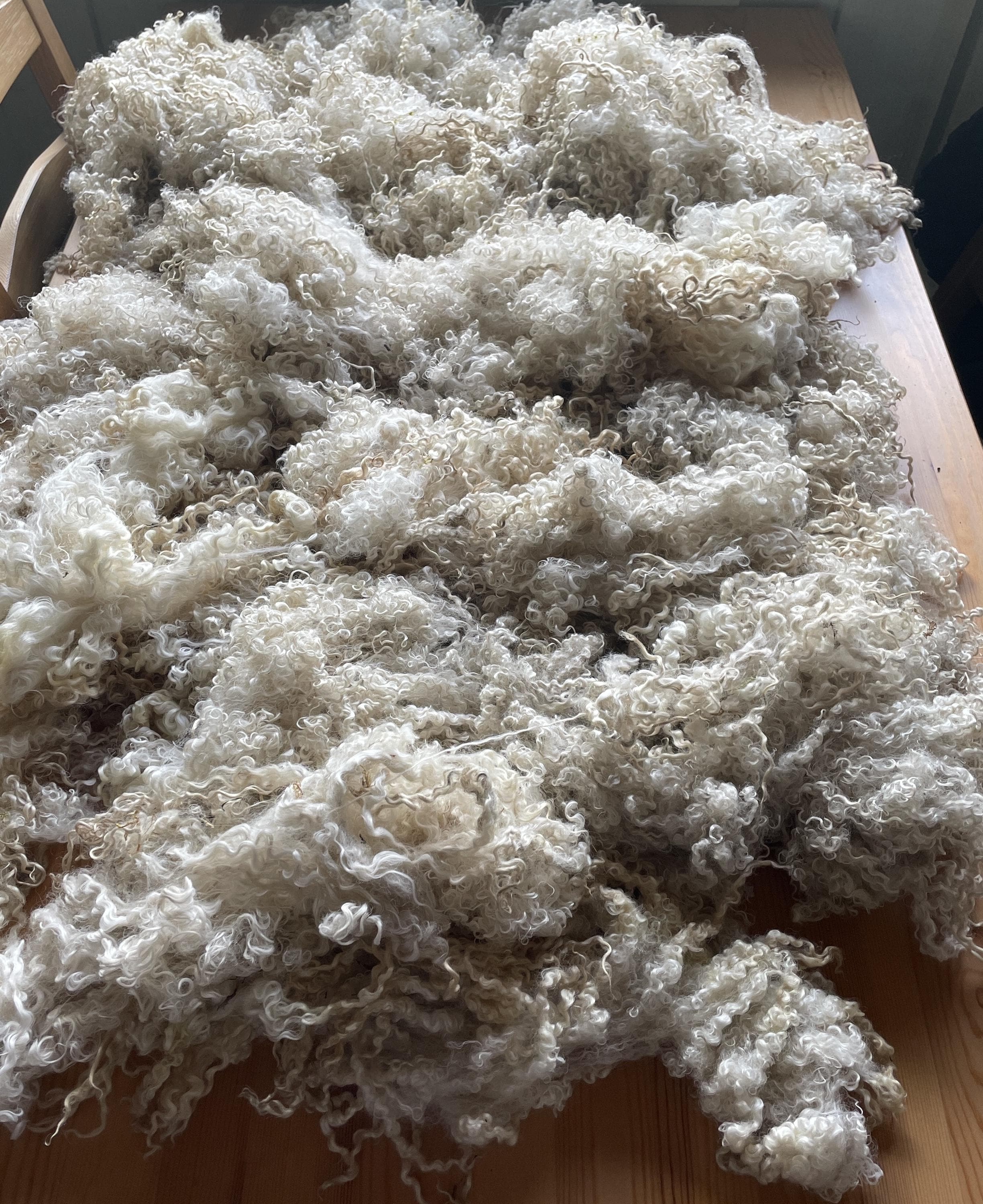 Raw wool fleece - Etsy 日本