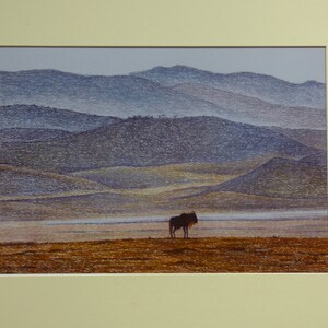 Puede incluir: Un ñu solitario se encuentra en un campo con una vista lejana de colinas onduladas en el fondo. Las colinas son de un color azul y morado apagado, y el campo es de un marrón cálido.