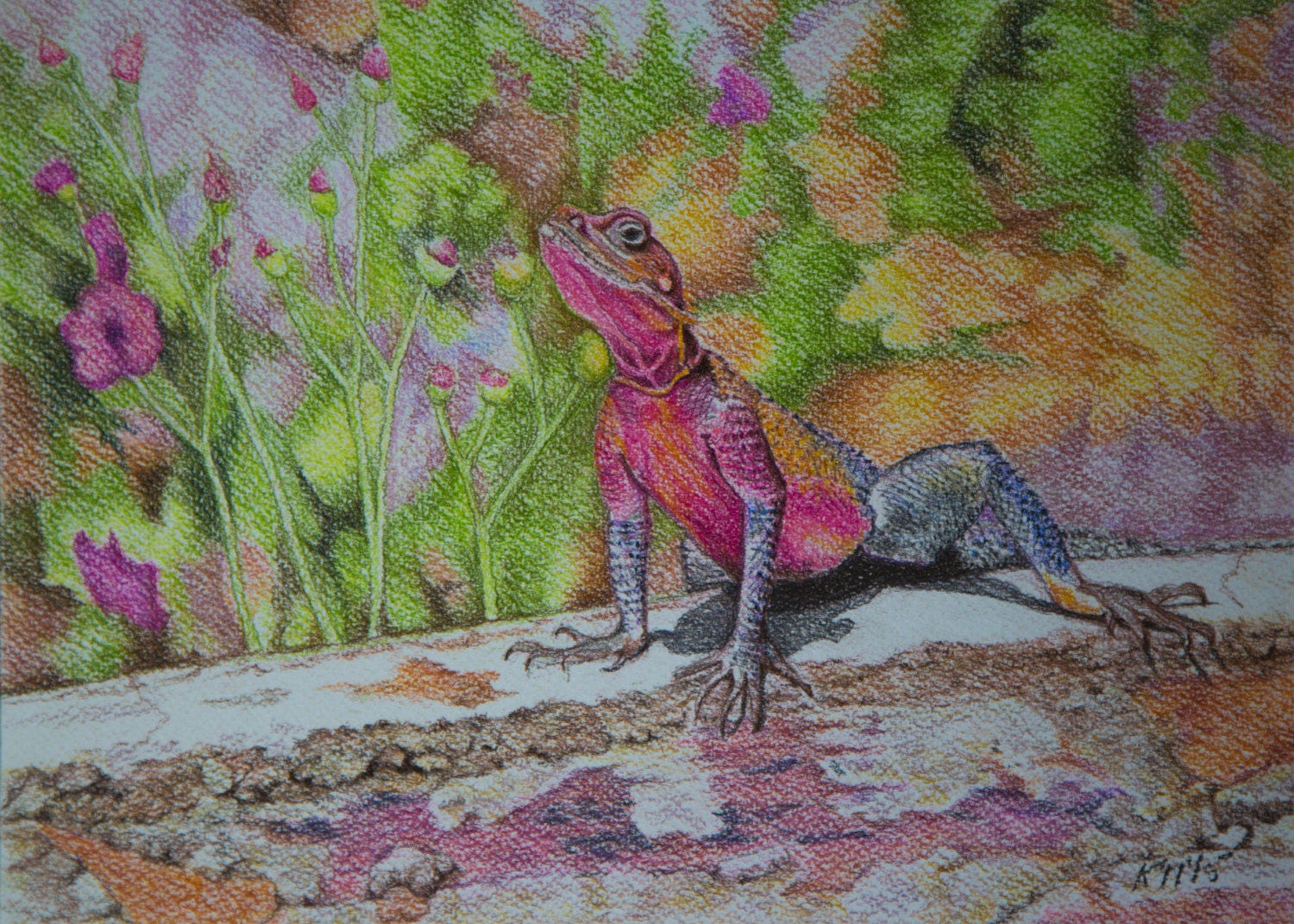 multi colored lizard