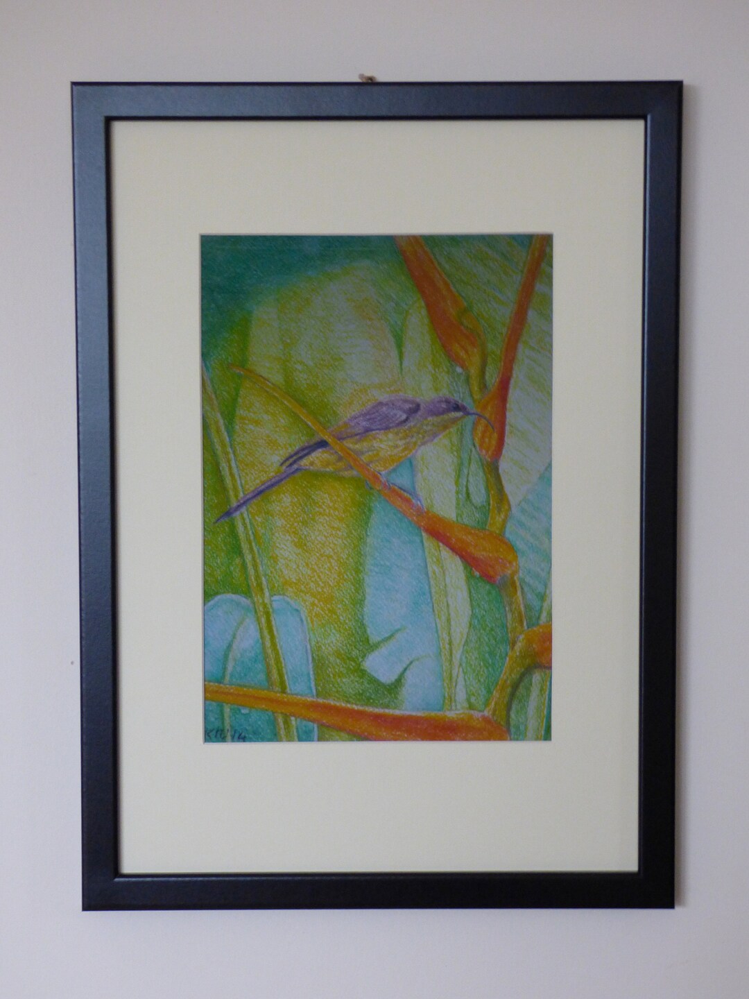 Papier peint intissé Colibri tropical adila noir | Leroy Merlin