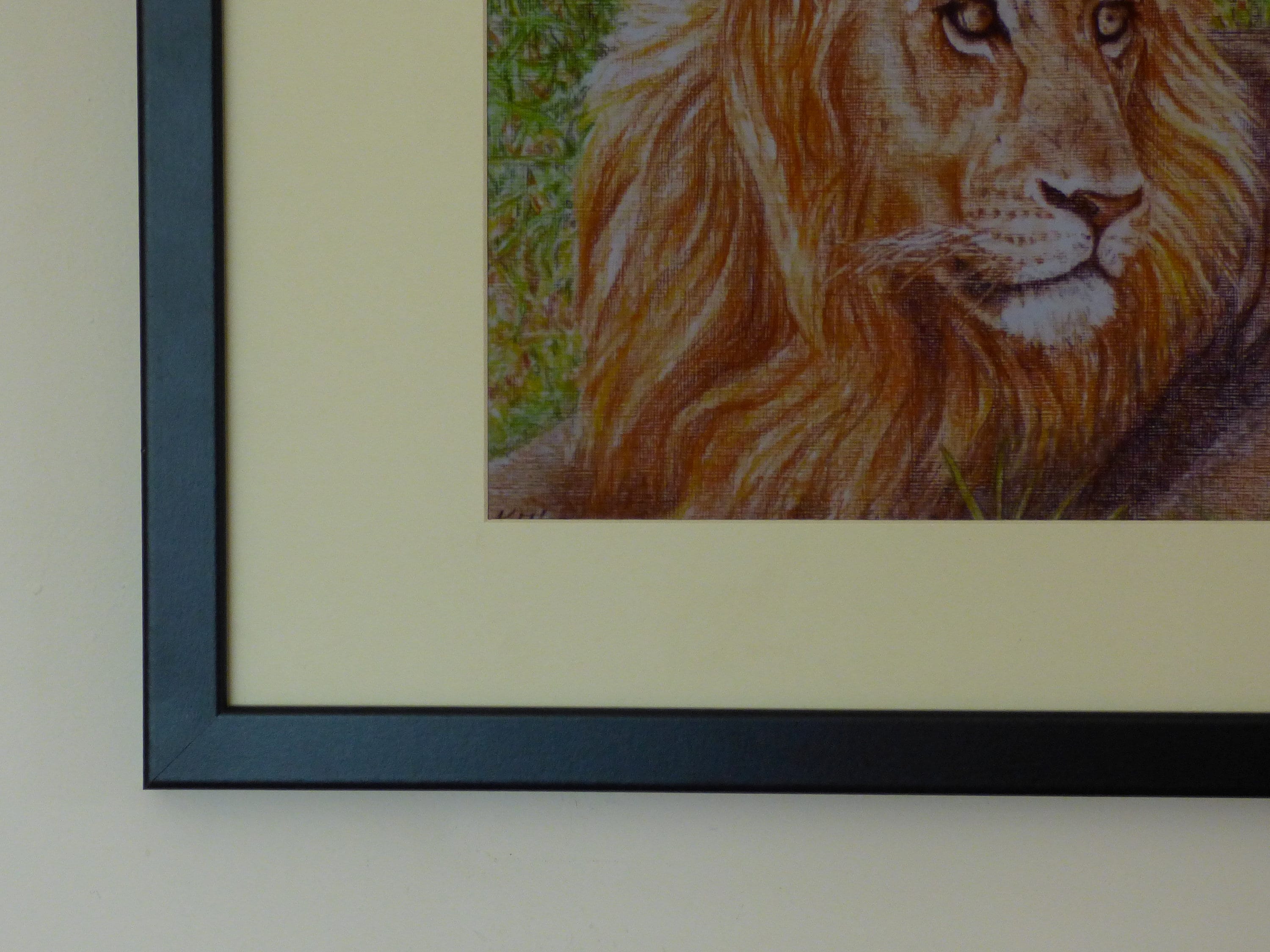 Framed Lion Print Male Lion Portrait African Wildlife Art Etsy 日本