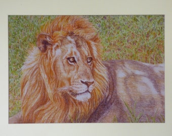 Male Lion Portrait, African Wildlife Art, Resting Lion, African Lion With Mane, Wildlife Portraits, Unframed Lion, Tanzania Africa, Big Cat