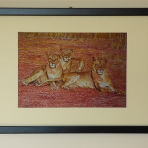 Lion Pride Kunstdruck, Löwin Wandkunst, gerahmtes Tier Kunstwerk, Lion Pride, Afrika Kunst, Tier Pastell Malerei, Löwe Geschenk, große Katzen gerahmt