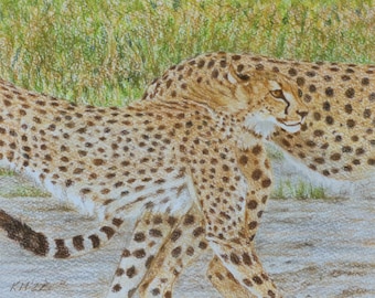 FAUVES d'Afrique Alain Pons アフリカ野生猫科　写真集 FAUVES d'Afrique Alain Pons アフリカ野生猫科 写真集