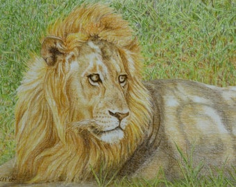 Lion Portrait Art, Original Pastel Painting, Male Lion, African Wildlife, Reclining Lion, Jungle Cats, Africa Tanzania, Wild Animal Portrait