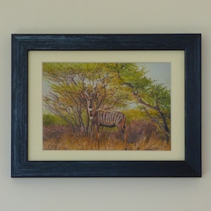 Small Framed Antelope Print, Kudu Art Print, African Wildlife, African Antelopes, Small Framed Wall Art, Antelope Artwork, Framed Art Prints