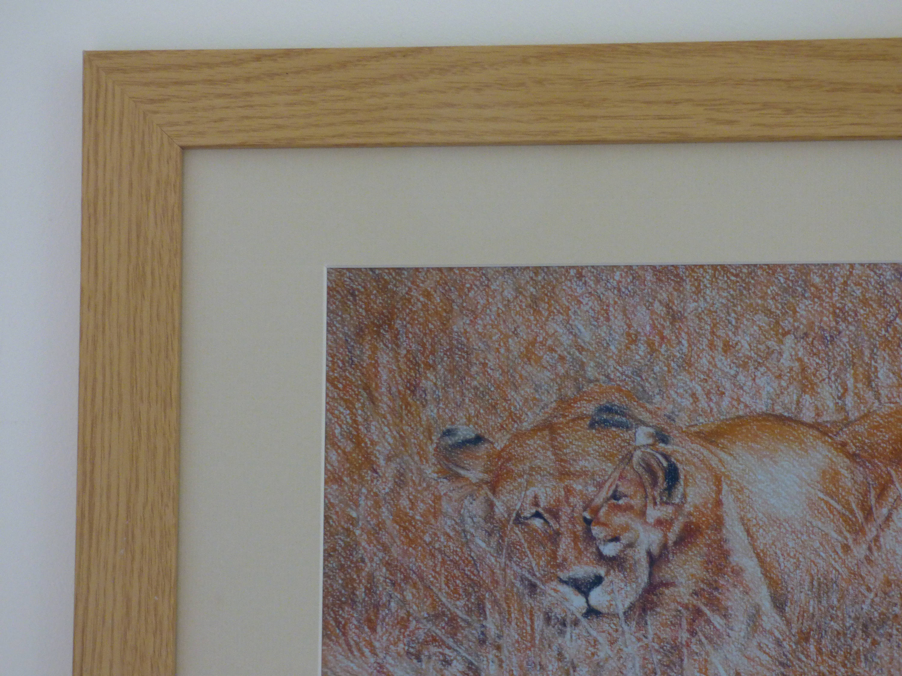 Framed Lion Art Print Lion Cub Wall Art Africa Tanzania Etsy