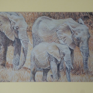 Elephant Family Group With Baby, African Elephant, Baby Elephant Art Prints, African Wildlife Artwork, Jungle Animals, Tanzania Africa,