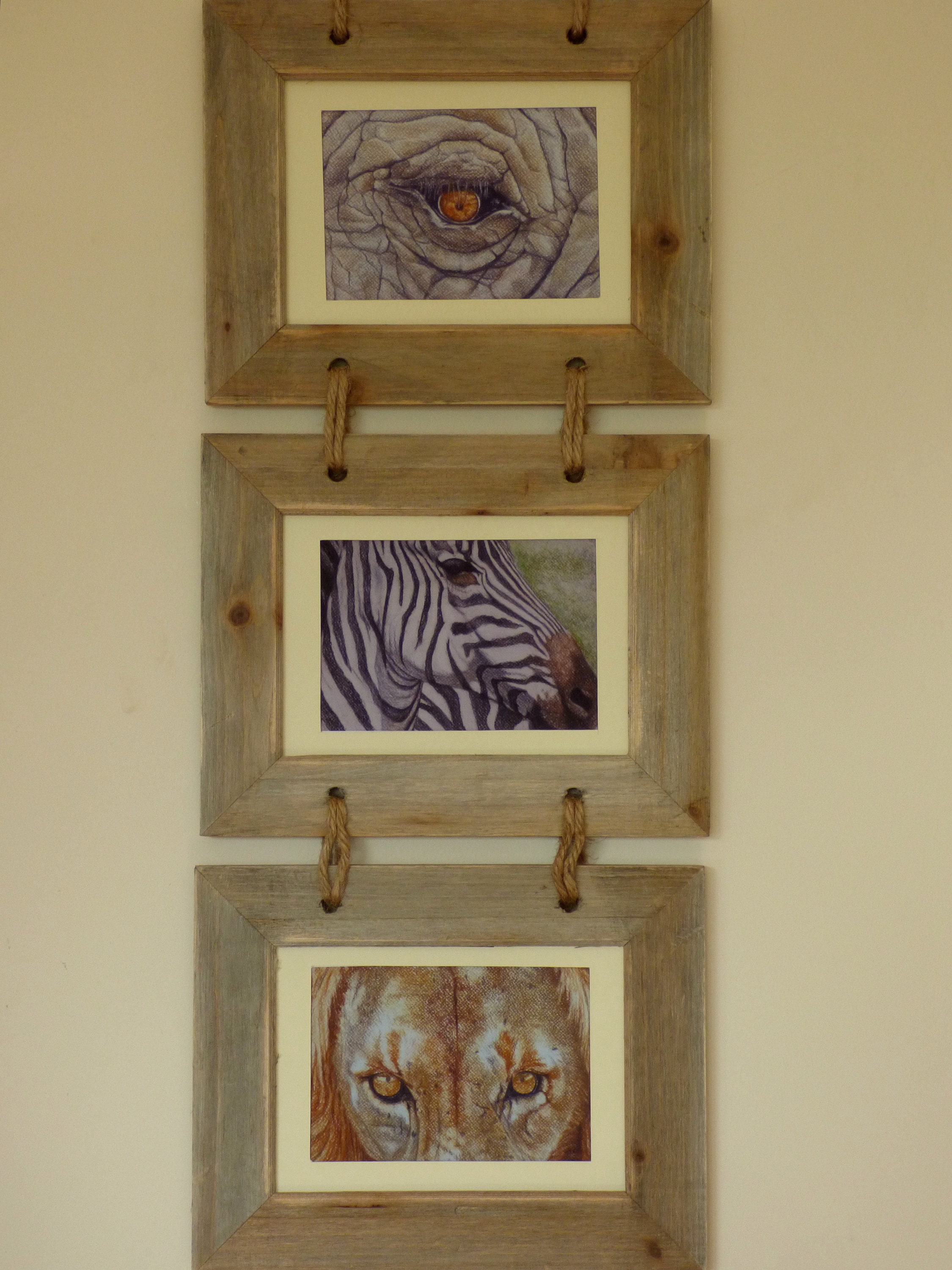 Triple Framed Wildlife Prints Elephant Eye Zebra Head Lion Etsy