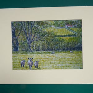 Sheep Print, English Countryside, British Landscape Art, Rural Scenes, Sheep and Lambs, Summer Landscape, Pastel Paintings, Rustic Wall Art