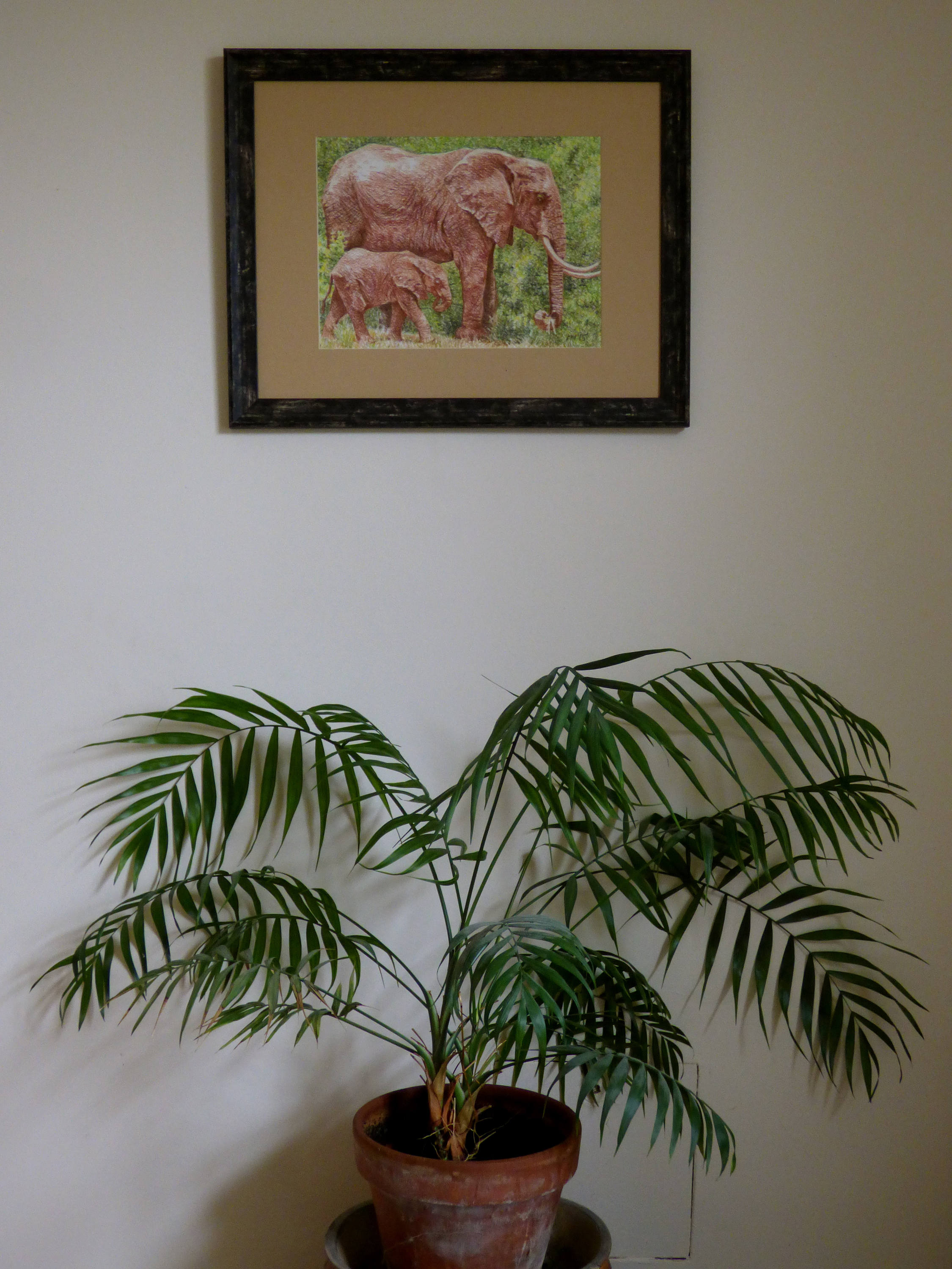 Elephant Paintings, Original Pastel Art, Baby Elephant, Wildlife Art ...