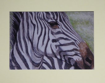 Zebra Portrait Art, African Wildlife, Zebra Stripes, Animal Close-Up, Zebra Head, Unframed Print, Africa Tanzania, Wildlife Print, Zebra Art
