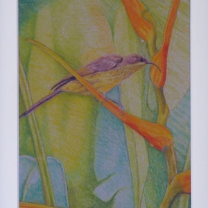 Tropical Sunbird Print, Bird and Flowers, African Sunbird, Tropical Flowers, Bird Art Print, Exotic Foliage, Pastel Art Prints, Raindrops
