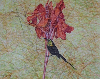 Sunbird and Red Flower Painting, Original Tropical Bird Art, Exotic Birdlife, African Birdlife, Tropical Bird on Flower, Original Pastel Art