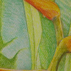 African Sunbird With Tropical Flowers, Original Painting, Tropical Bird Painting, Flowers and Raindrop, Tropical Birdlife, Original Artwork image 5