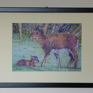 Könnte beinhalten: Eine gerahmte Zeichnung eines braunen und weißen Schafs mit einem Lamm, das im Gras liegt. Das Schaf hat Hörner und steht in einer Waldlandschaft.