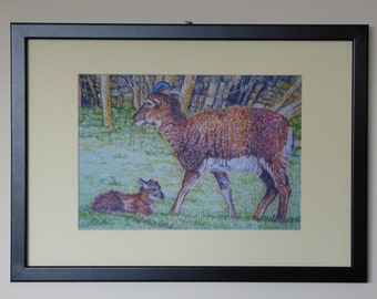 Soay Sheep and Lamb, Farm Animals, Sheep Print Framed, Rural Art Print, Rustic Wall Art, Sheep Art Prints, Farmyard Animals, Soay Lamb Print