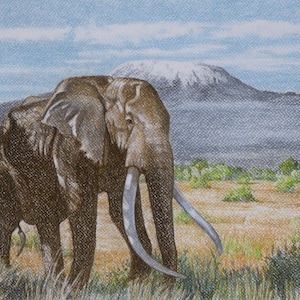 Elephant and Kilimanjaro, Original Painting, African Wildlife, African Landscape, Kilimanjaro and Elephant, Kenya, Elephant With Large Tusks
