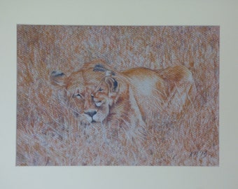 Unframed Lion and Cub, Wildlife Artwork, Lion Wall Art, Mother and Cub Prints,  Jungle Animals, Big Cats, Pastel Art Prints, Tanzania Africa