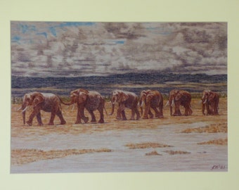 Line of Walking Elephants, Unframed Wildlife Print, Elephants in African Landscape, Kenya Art Print, African Elephants in Amboseli, Unframed