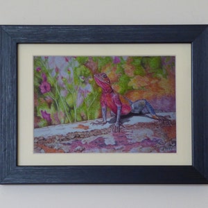 Small Framed Rainbow Lizard, Colourful Lizard, Reptile Art, Lizard Wall Art, Small Reptiles, Rainbow Colours, Tropical Reptile, Pastel Art