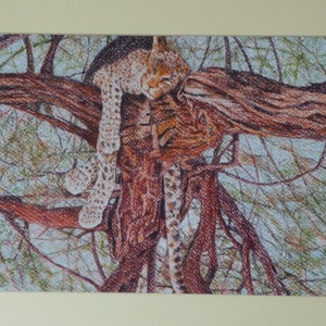 Sleeping Leopard in Tree, African Wildlife Art, Spotted Cats, Unframed Wildlife Prints, Leopard Wall Art, Leopard in the Wild, Tanzania