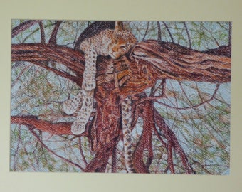 Slapende luipaard in boom, Afrikaanse natuurkunst, gevlekte katten, ingelijste dierenprints, kunst aan de muur luipaard, luipaard in het wild, Tanzania