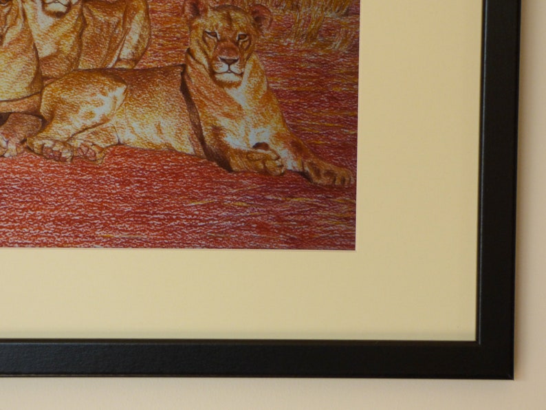 Framed Lion Art Print Lioness Wall Art Framed Animal Etsy