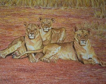 Female Lion Paintings, Original Lioness Art, Three Lions, Original Jungle Cats, African Wildlife Art, Pastel Painting, Original Lioness Art