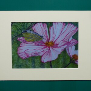 Original Art Print, Butterfly Painting, Flower Wall Art, Nature Prints, Pink Flower, Butterfly Artwork, Unframed Art, Flower Petal, Pastels