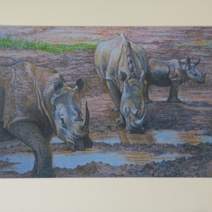 Ungerahmt Nashorn Druck, Wildtier Malerei, Baby Nashorn, Tier Wandkunst, Afrikanische Wildtiere, Tansania Ostafrika, Pastell Zeichnung, Nashorn Bilder