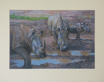 Unframed Rhino Print, Wildlife Painting, Baby Rhino, Animal Wall Art, African Wildlife, Tanzania East Africa, Pastel Drawing, Rhino Pictures