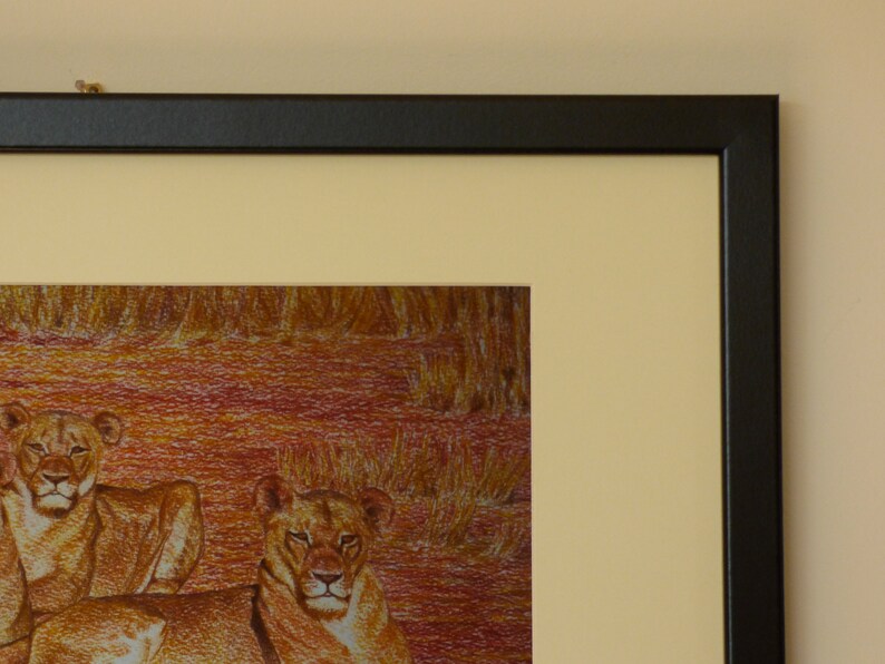 Framed Lion Art Print Lioness Wall Art Framed Animal Etsy